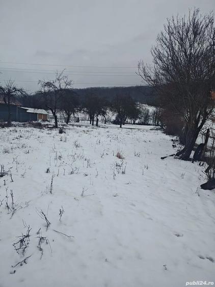 Teren de 2635 mp, în Dăești