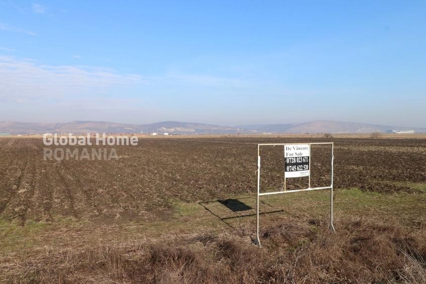 Teren Construcții intravilan de 25000 mp, în Sânpaul