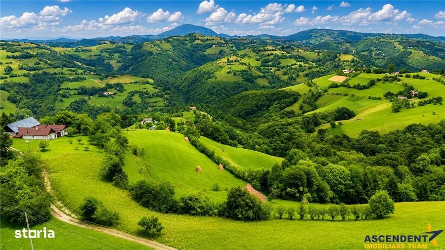 Spațiu comercial, în Poiana Mărului