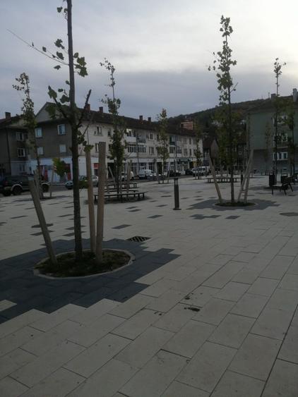 Apartament cu 2 camere decomandat în Luncă