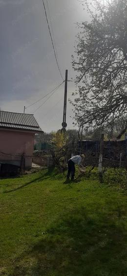 Casă cu Teren 8266 Mp în Central