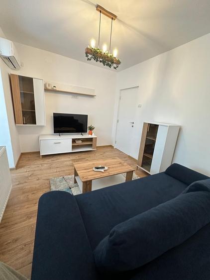 Apartament cu o camera de inchiriat - 4