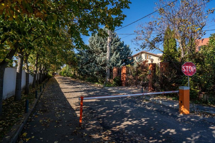 Casă individuală cu 17 camere cu Piscina în Chiajna
