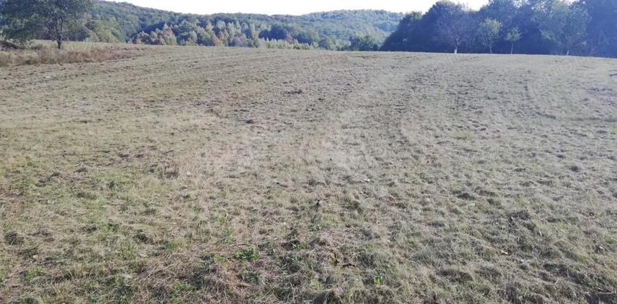 Teren de 7000 mp, în Negreni