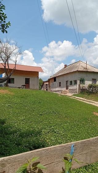 Casă cu 2 camere în Vlădești