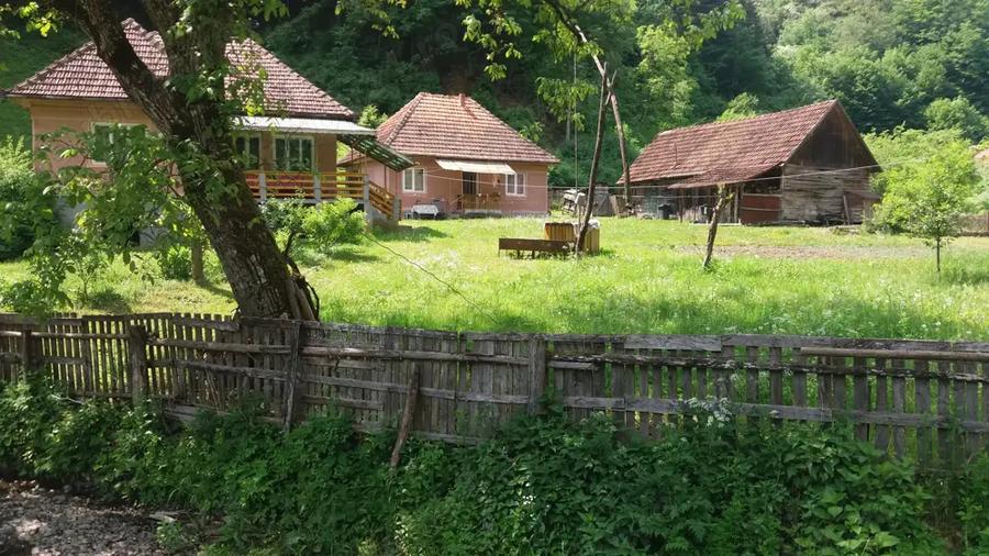 Casă cu 3 camere cu Teren 3200 Mp în Mihăileni