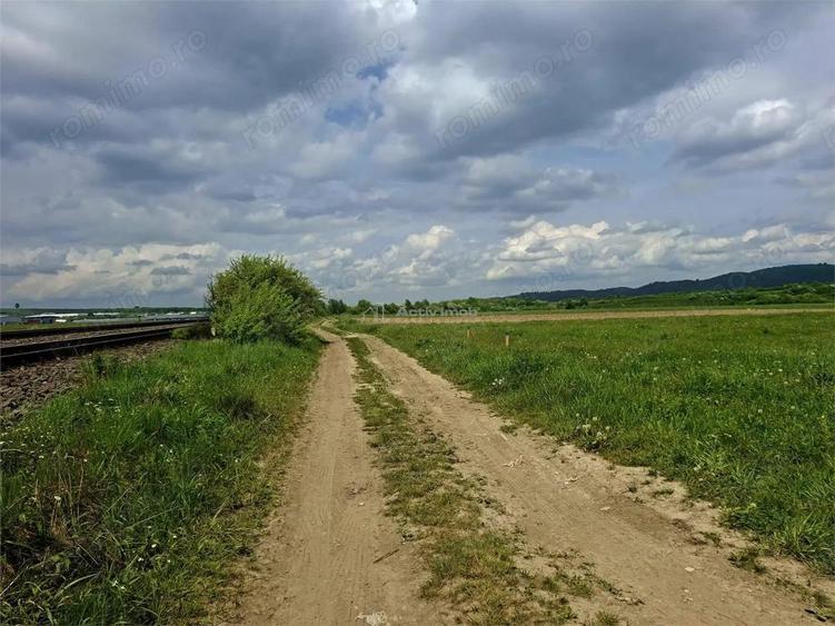 Teren extravilan de vanzare Talmaciu - 3