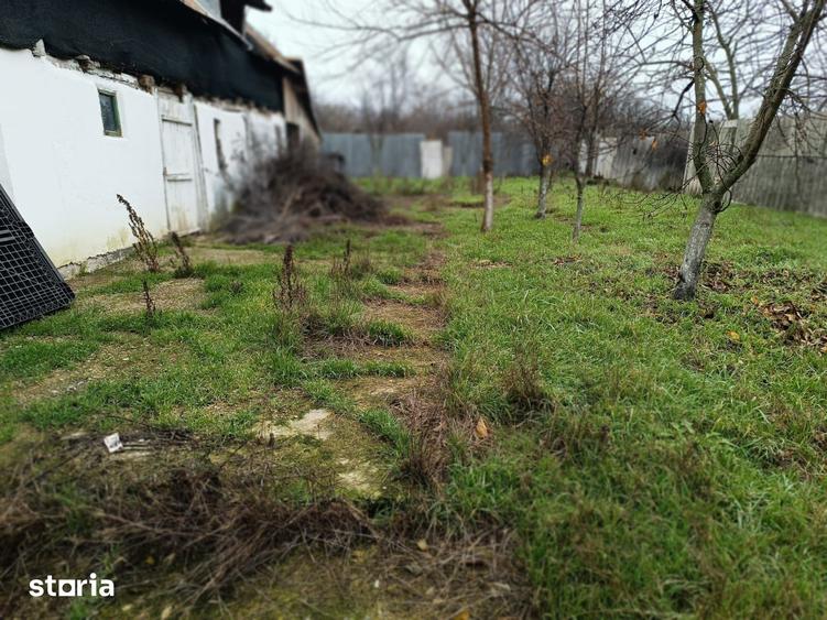 Casă cu 3 camere cu Teren 3750 Mp în Mischii