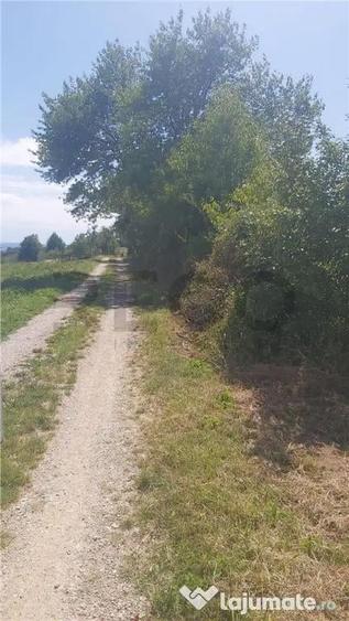 RECO, teren intravilan, Zona Sinteu, Bihor - 5