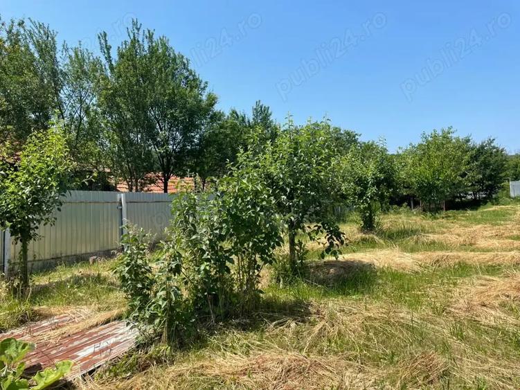 Casă cu 3 camere cu Teren 3800 Mp în Bălănești