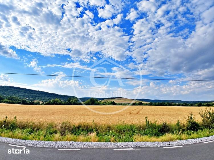 Teren de 500 mp, în Podgoria