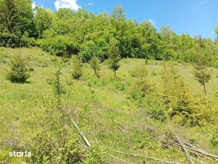 Casă cu 3 camere cu Teren 22000 Mp în Albac