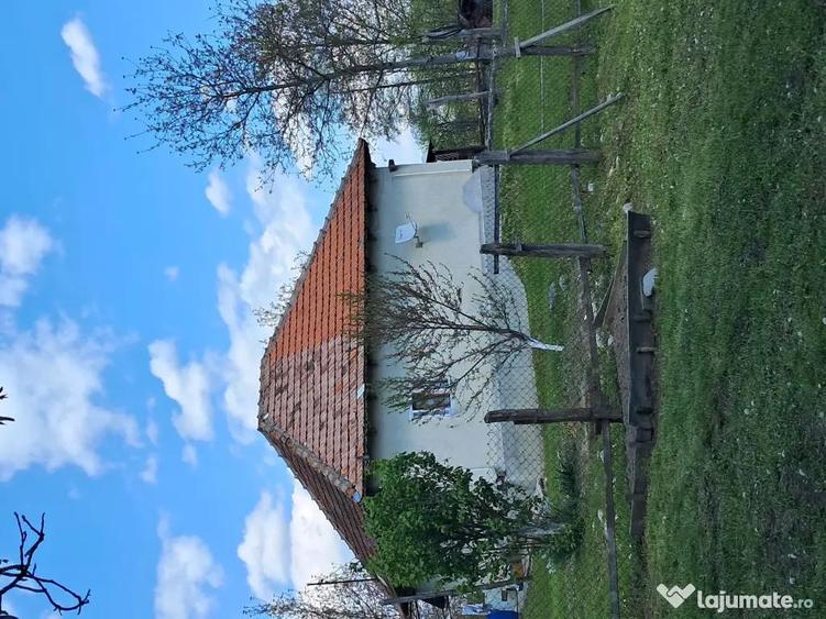 Teren de 10000 mp, în Tomșani