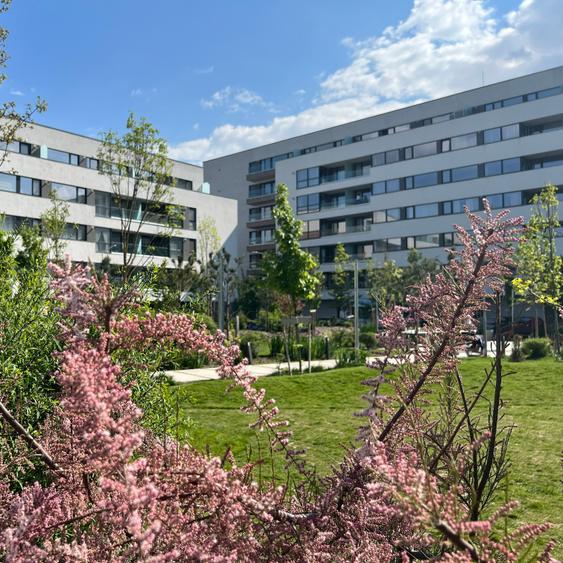 Apartament cu 2 camere decomandat în Străulești