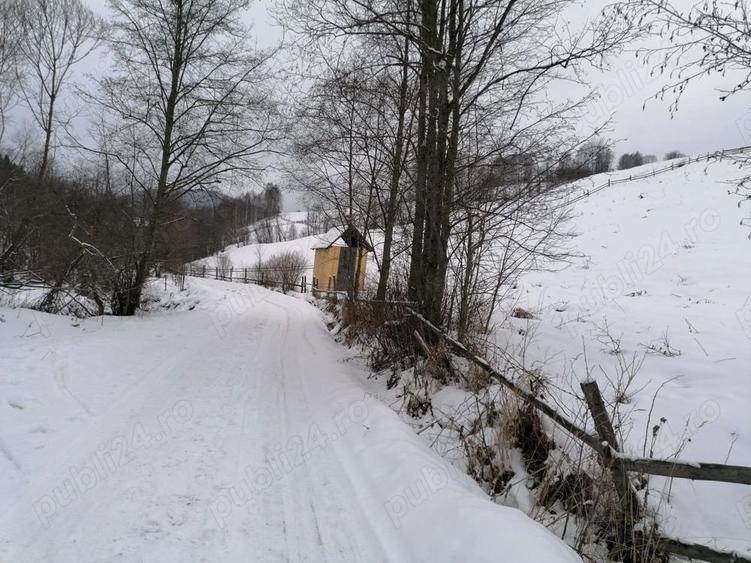 Teren 12.066 mp intravilan de vanzare in Bucovina Comuna Breaza Zona Breaza De sus - 6
