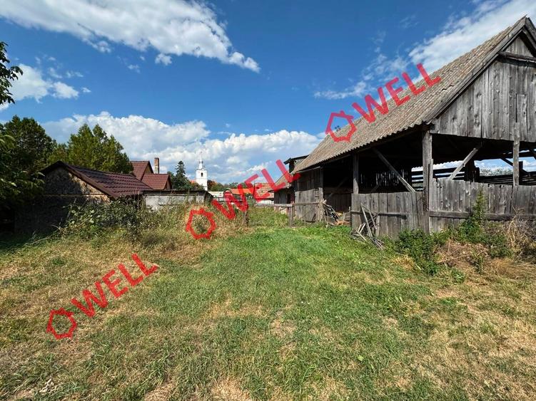 Casă cu 3 camere cu Teren 4669 Mp în Leț