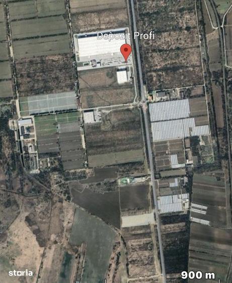 Teren de 400000 mp, în Almăj