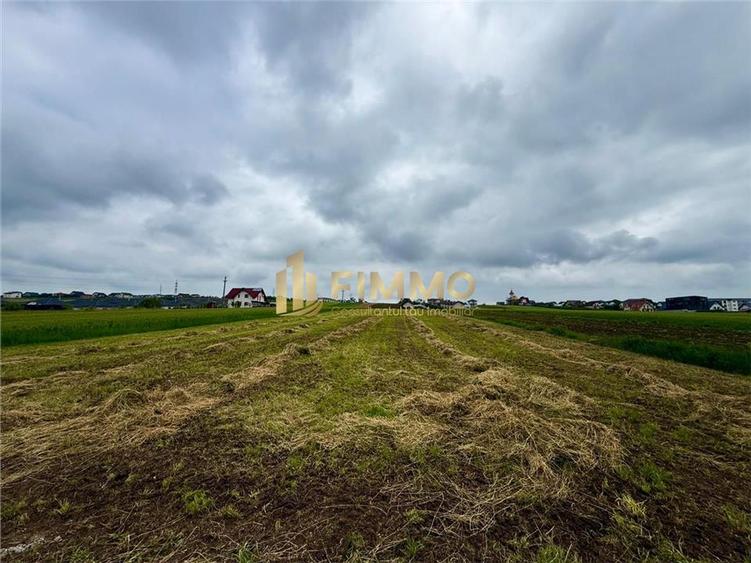 Teren Construcții extravilan de 6015 mp, în Moara