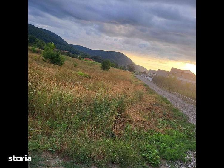 Teren de 1962 mp, în Vețel