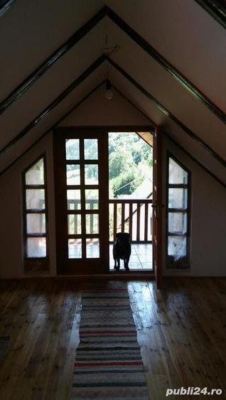Casă cu 6 camere în Câmpeni
