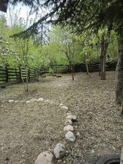 Casă cu Teren 500 Mp în Stâlpeni