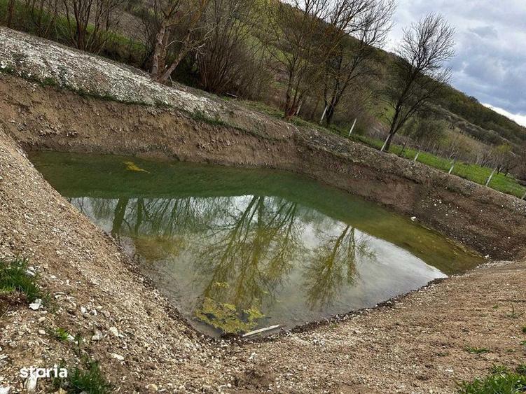 Teren de 3100 mp, în Jichișu de Jos