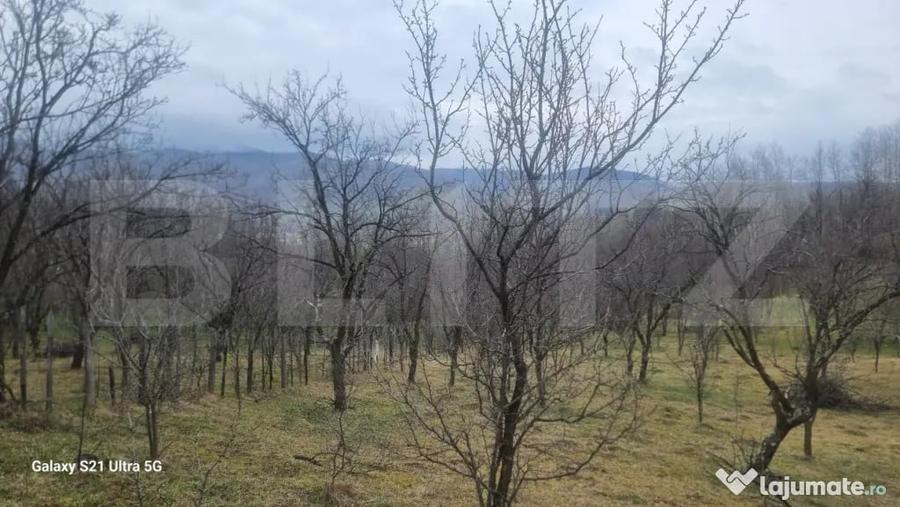 Teren în Schiulești