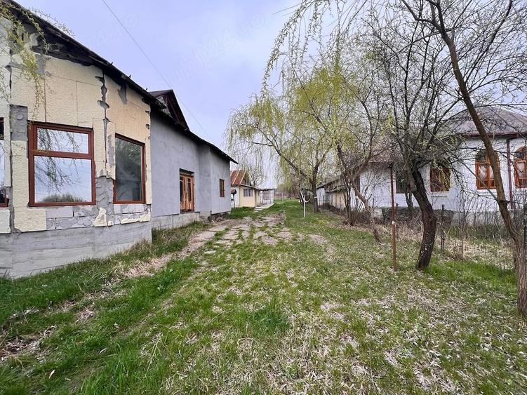 Casă cu Teren 2244 Mp în Oveselu