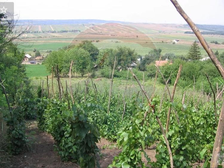 Teren agricol intravilan de 6890 mp, în Crasna