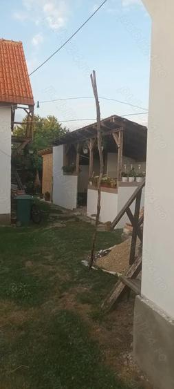 Casă cu 5 camere în Olanu