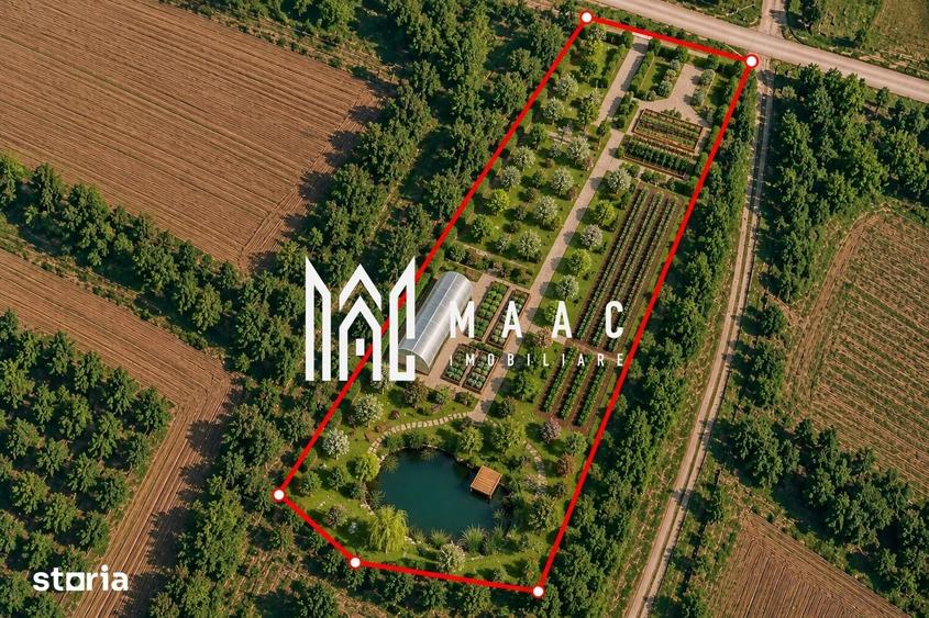 Teren de 5800 mp, în Roșia
