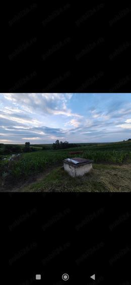 Teren de 2600 mp, în Udești