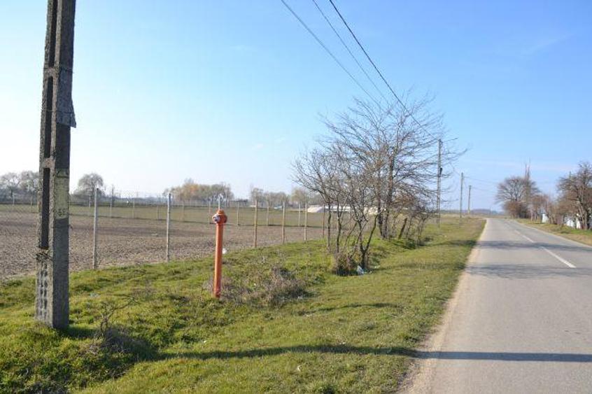 Teren intravilan de 5600 mp, în Mircea Vodă