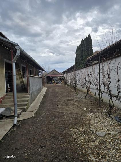 Casă cu 4 camere cu Teren 7928 Mp în Central