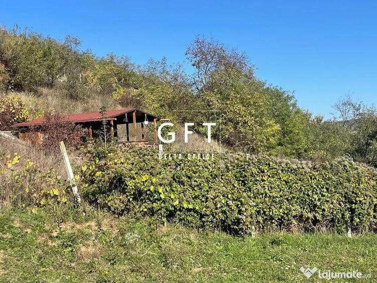 Teren de 2700 mp, în Viișoara