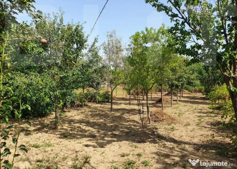 DE VANZARE Casa cu gradina mare in Lugoj - 3
