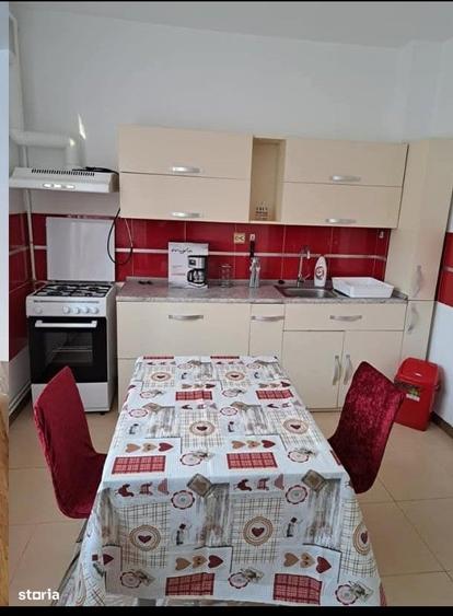 Apartament NOU 1 camera DECOMANDATA/ logie/ SubARINI Et.1 - 9