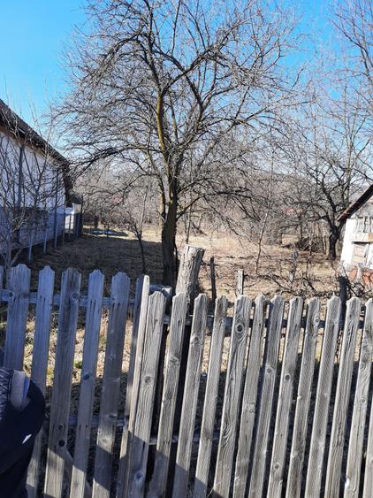 Teren de 1039 mp, în Pietroasa