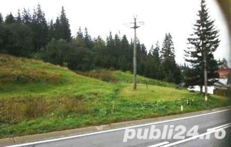 Teren de 10000 mp, în Central