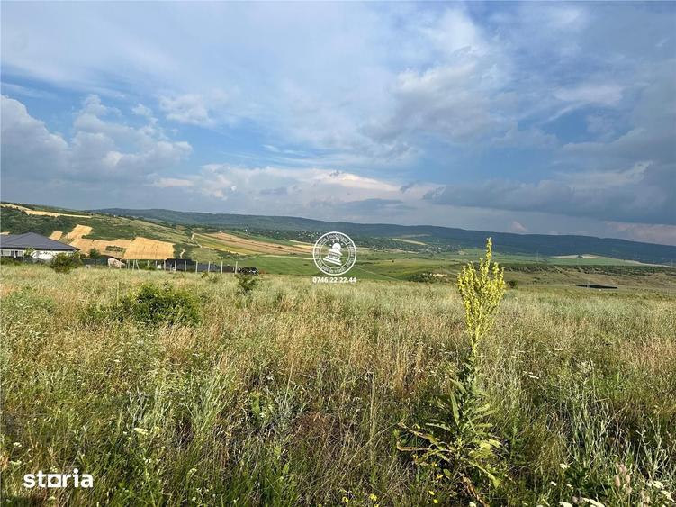 Teren de 633 mp, în Dumbrava