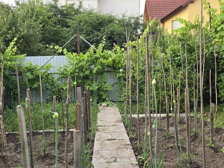 Casă cu 4 camere în Calea Dumbrăvii