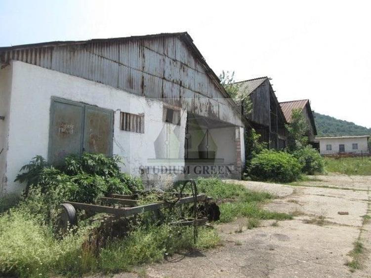 Teren de 12580 mp, în Șopotu Vechi