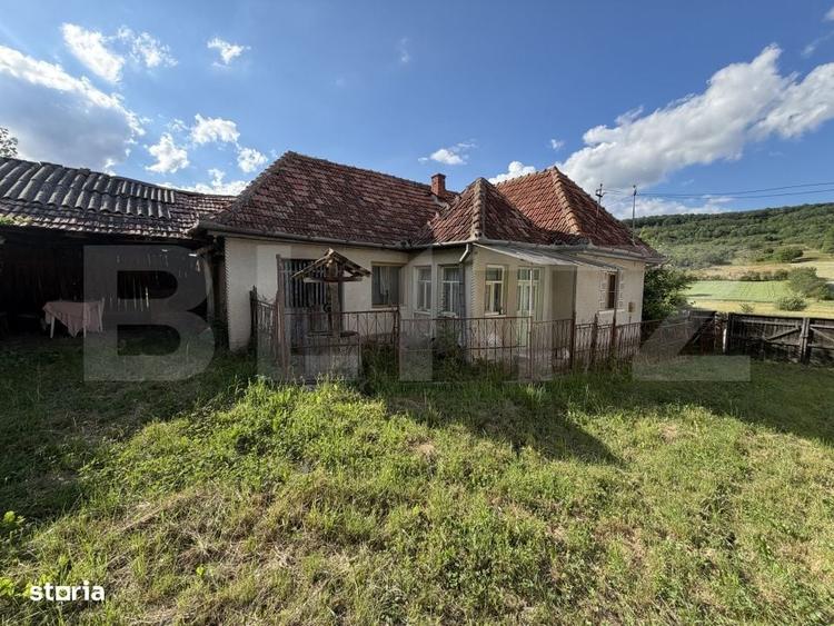 Casă cu 3 camere cu Teren 4100 Mp în Horoatu Crasnei
