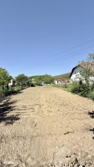 Casă cu 4 camere cu Teren 1668 Mp în Bujoreni