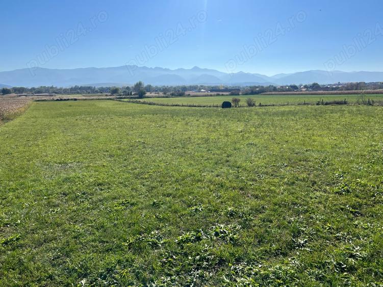 Teren de 7500 mp, în Central