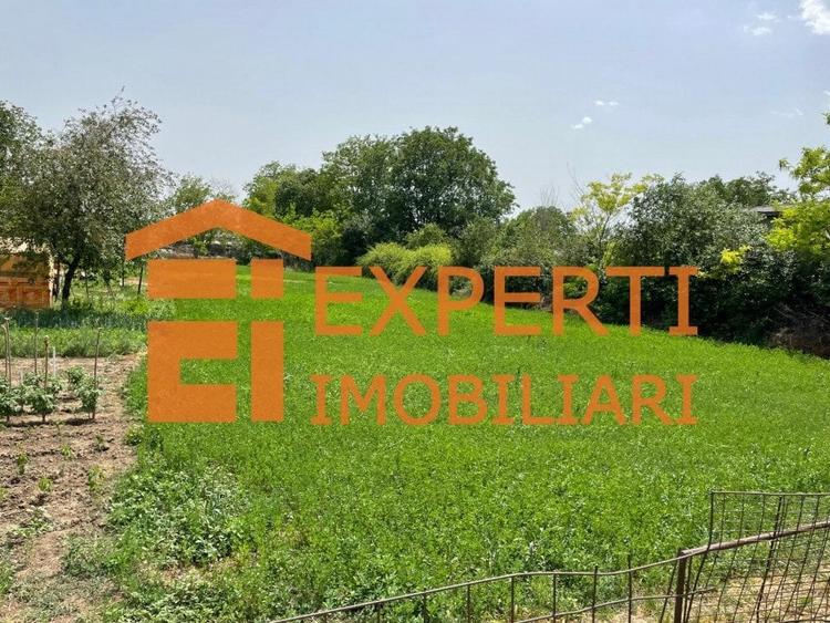 Teren Construcții intravilan de 2581 mp, în Mihail Kogălniceanu