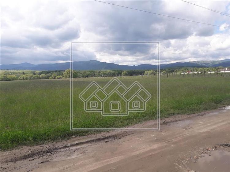 Teren agricol extravilan de 1780 mp, în Arhitecților - Calea Cisnădiei