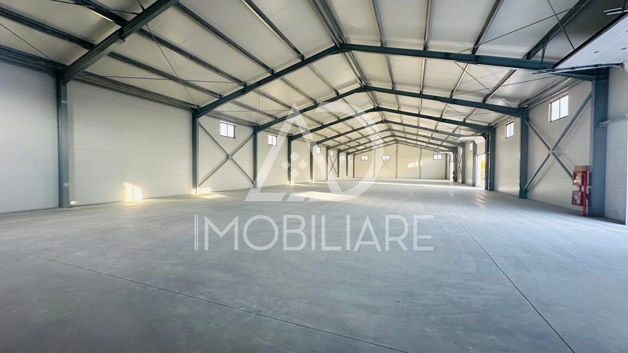 Spațiu industrial, de 1,000 mp, în Narciselor