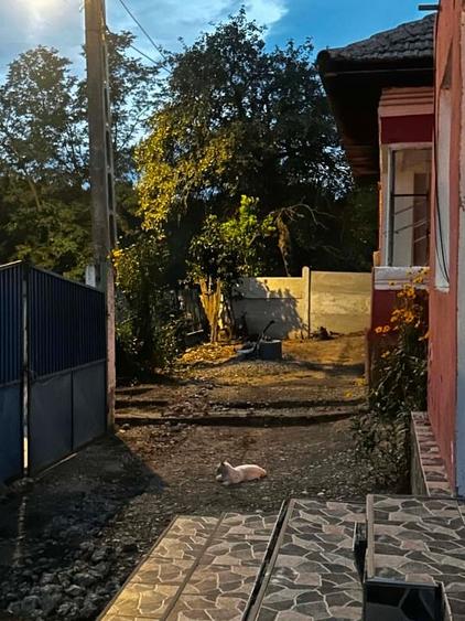 Casă cu 4 camere cu Teren 1000 Mp în Central