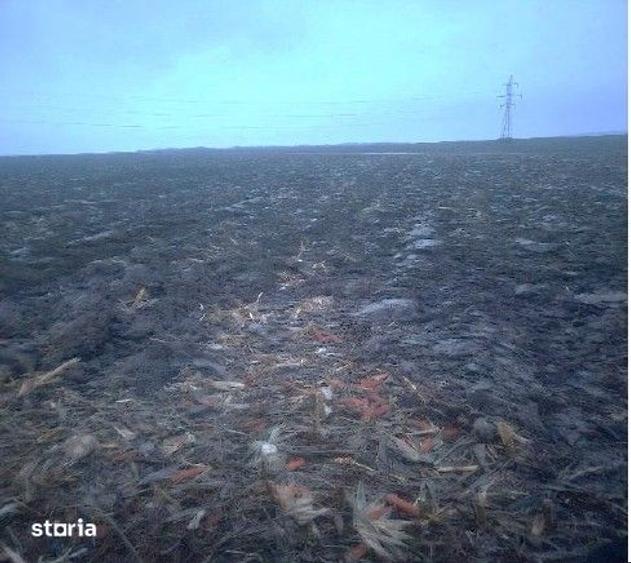 Teren de 4050 mp, în Popricani